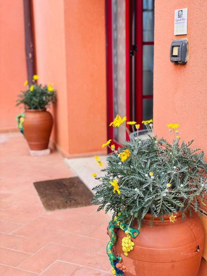 Regina Del Mare Holiday Apartments Tirrenia Exteriér fotografie